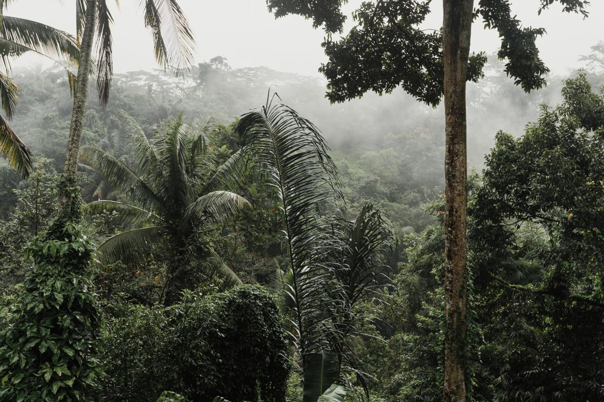 The Iyang Ubud Buitenkant foto